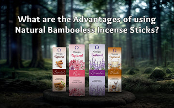 Omega Natural bambooless incense sticks in forest setting with sandal, rose, lavender, musk scents